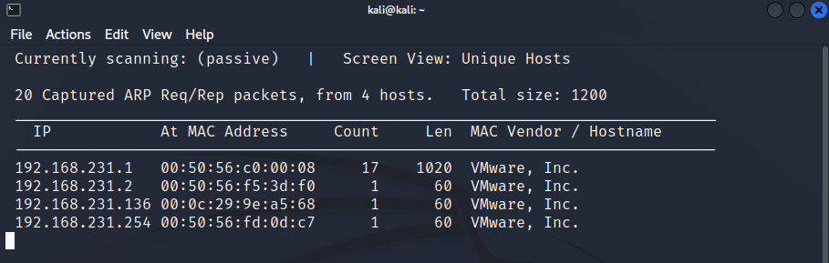 netdiscoverpassive scan